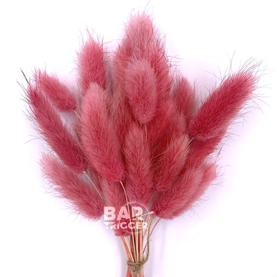 Лагурус розового цвета (пучок 18-20 шт) 100-808/8 фото