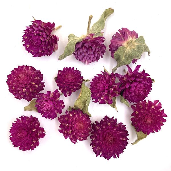 Гомфрена яскраво-бузкова квіти 1-1.5 см (28-30 шт) 104-028 фото