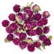 Гомфрена яскраво-бузкова квіти 1-1.5 см (28-30 шт) 104-028 фото 1