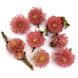 Гомфрена рожево-персикова квіти 1-1.5 см (28-30 шт) 103-578 фото 2
