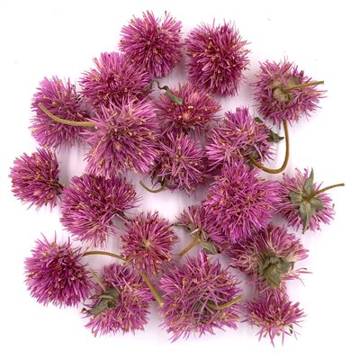 Гомфрена Fierworks рожева квіти 2-2.5 см (14-15 шт) 100-292 фото