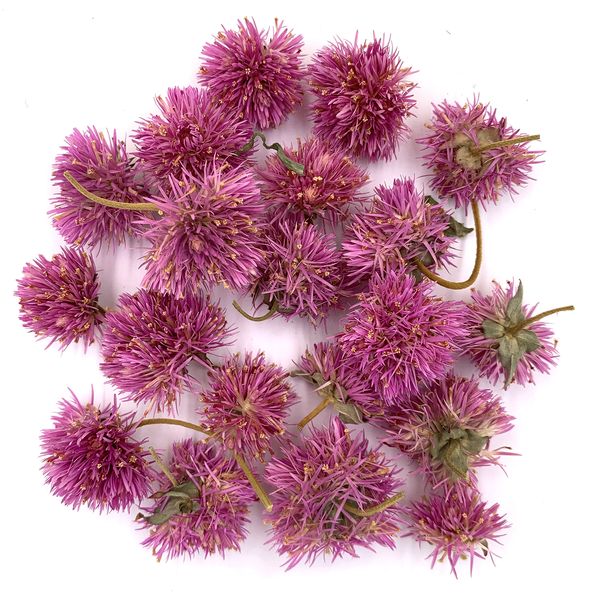Гомфрена Fierworks рожева квіти 2-2.5 см (14-15 шт) 100-292 фото