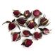 Бутони чайної троянди сушені, 1.5 см (25 гр) dflow0045 фото 2