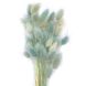 Лагурус голубого цвета (пучок 48-50 шт) dflow0056 фото 1