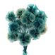 Скабіоза смарагдового кольору пучок (13-15 шт) dflow0017 фото 1