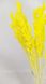 Овес жовтий пучок (13-15 шт) dflow0027 фото 3