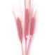 Пшениця натуральна світло-рожева (пучок 10 шт) 102-486 фото 2
