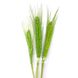 Пшеница натуральная салатовая (пучок 10 шт) 103-776 фото 2