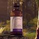 Кордиал Vetiver, 485мл, Paragon 3052911630545 фото 2