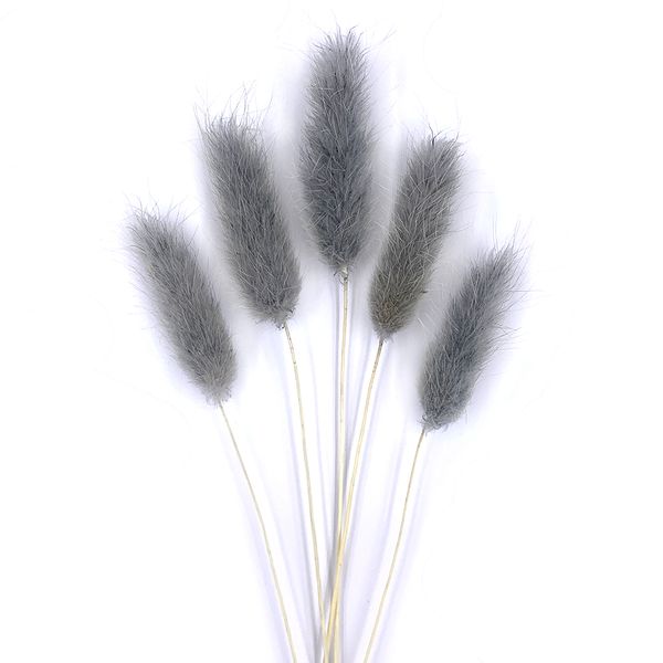 Лагурус серого цвета (18-20 шт) 100-808/12 фото