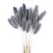 Лагурус серого цвета (18-20 шт) 100-808/12 фото 1