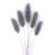 Лагурус сірого кольору (18-20 шт) 100-808/12 фото 2