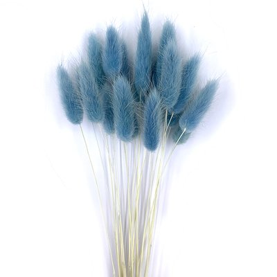 Лагурус голубого цвета (18-20 шт) 100-808/15 фото
