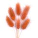 Лагурус абрикосового кольору (18-20 шт) 100-808/5 фото 2