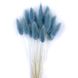 Лагурус блакитного кольору (18-20 шт) 100-808/15 фото 1