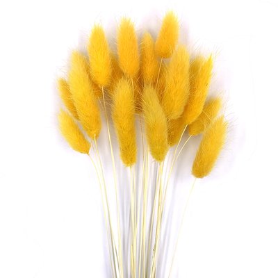 Лагурус желтого цвета (18-20 шт) 100-808/16 фото