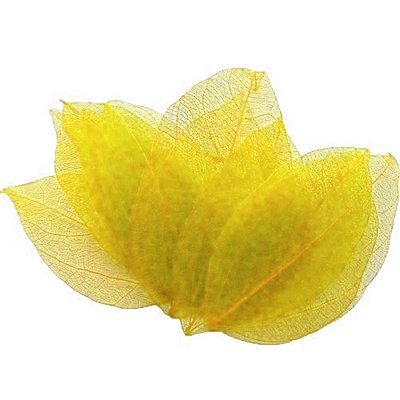 Листья скелетированные цветные (желтое), 4-7 см, 50 шт afc381 фото