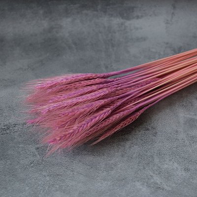 Пшениця натуральна бузкового кольору (пучок 8-10 шт) 104-045 фото
