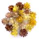 Геліхризум квіти мікс (20-25 шт) 100-675 фото 1