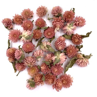 Гомфрена розово-персиковая цветы 1-1.5 см (28-30 шт) 103-578 фото