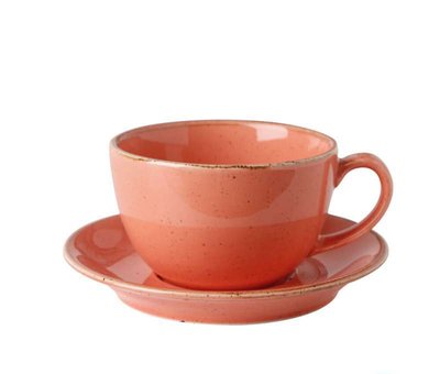 Чашка чайная 320 мл с блюдцем 160 мм в наборе, Seasons Orange 213-222134.O фото