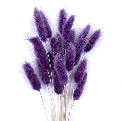 Лагурус темно-фиолетового цвета (18-20 шт) 100-808/11 фото
